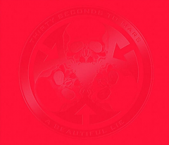 A Beautiful Lie