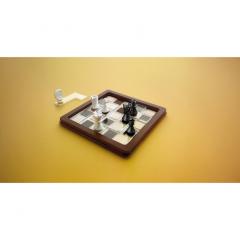 Joc de logica - Chess Peace
