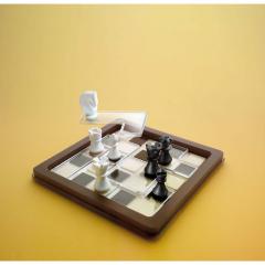 Joc de logica - Chess Peace
