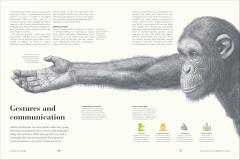 Humans