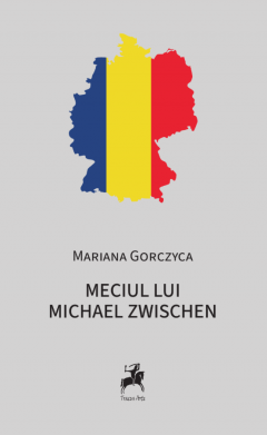 Meciul lui Michael Zwischen