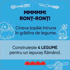 Jetoane cu activitati creative LEGO Recreate - Animalute