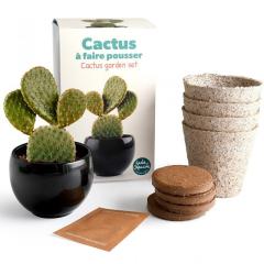 Kit plantare - Cactus