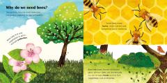 Bees: A Ladybird Eco Book