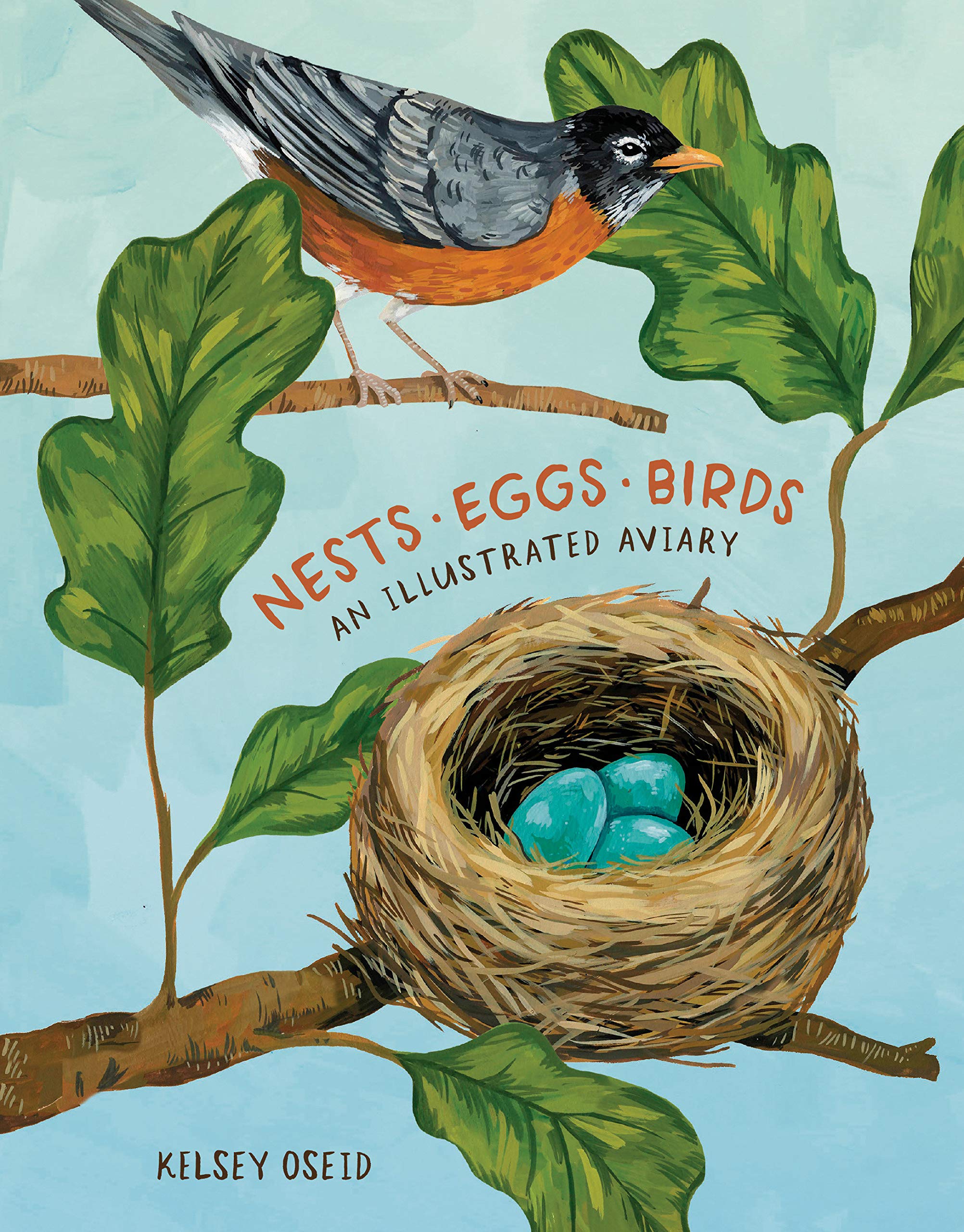 Nests, Eggs, Birds Kelsey Oseid