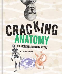 Cracking Anatomy