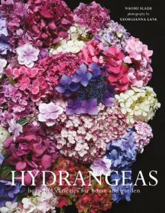 HYDRANGEAS