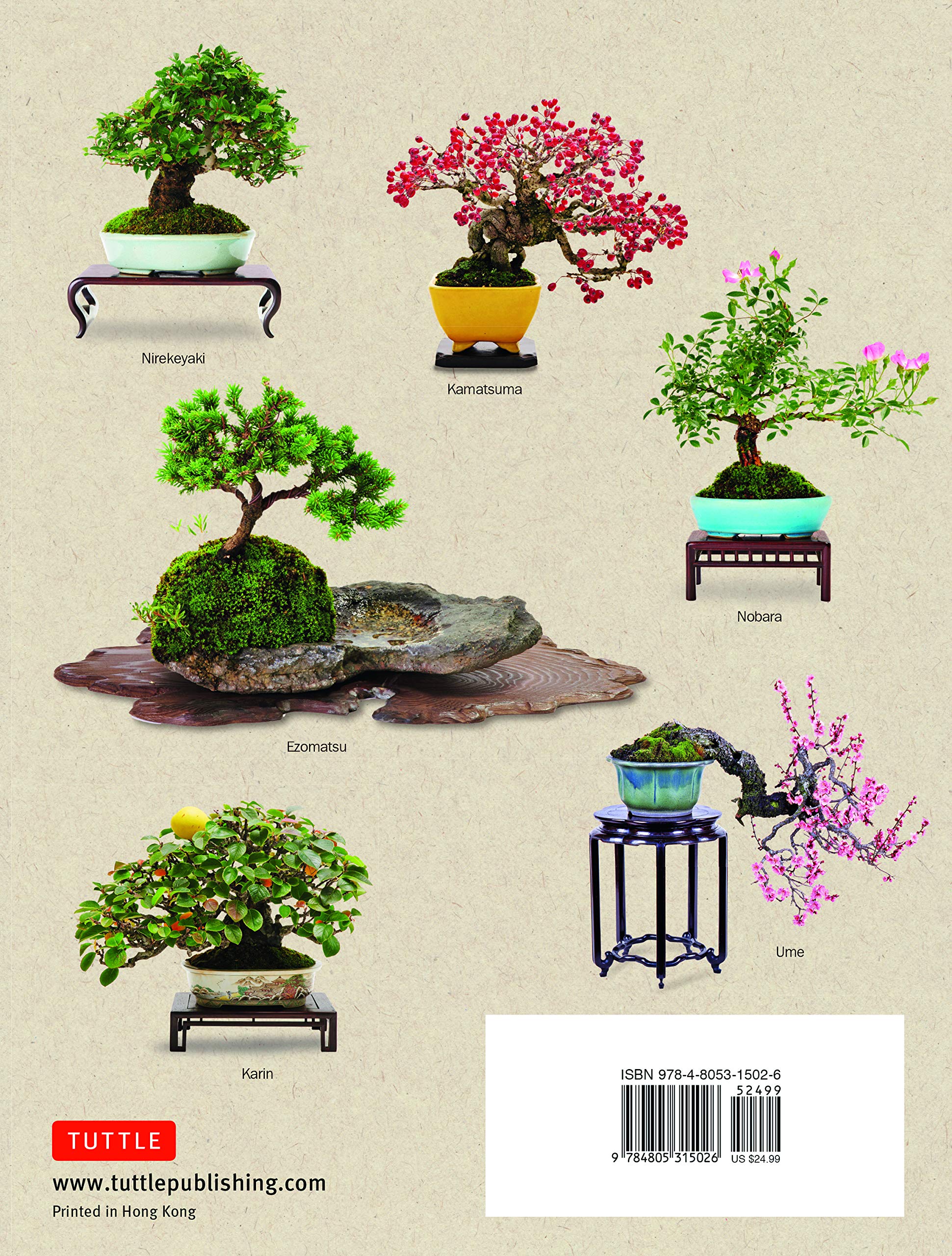 The Ultimate Bonsai Handbook - Yukio Hirose