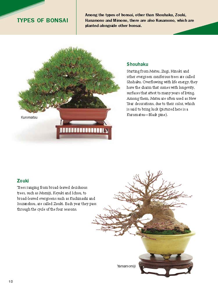 The Ultimate Bonsai Handbook - Yukio Hirose