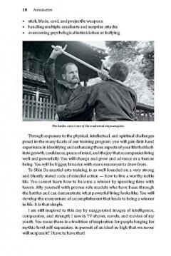 Ninja Fighting Techniques