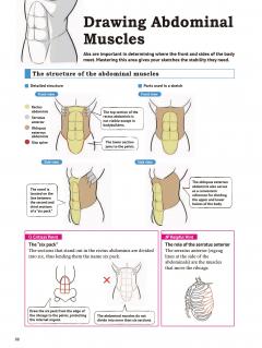 Drawing the Human Body