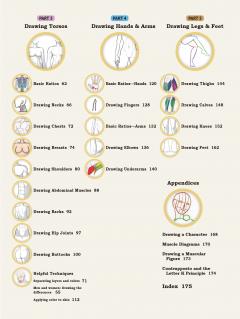Drawing the Human Body