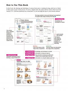 Drawing the Human Body