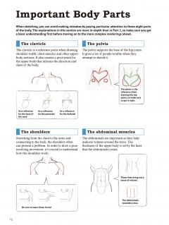 Drawing the Human Body