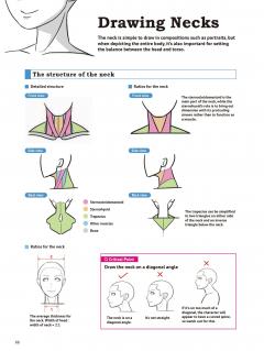 Drawing the Human Body