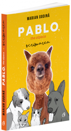 Pablo, the alpaca. Scrisoarea