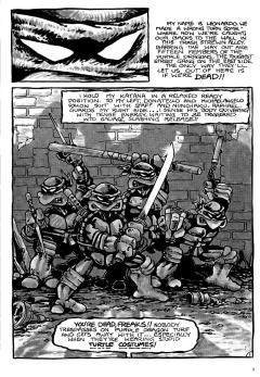 Teenage Mutant Ninja Turtles: The Mirage Years 1984-1987