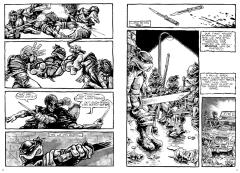 Teenage Mutant Ninja Turtles: The Mirage Years 1984-1987