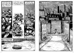 Teenage Mutant Ninja Turtles: The Mirage Years 1984-1987