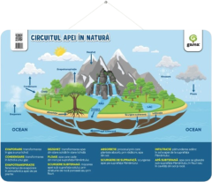 Circuitul apei in natura