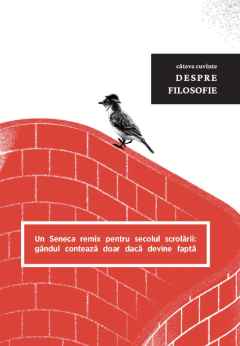 Cateva cuvinte despre Filosofie