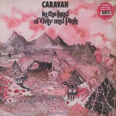 In The Land Of Grey And Pink - Grey & Pink Vinyl