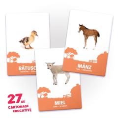 27 de cartonase educative - Animale si puii lor
