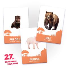 27 de cartonase educative - Animale si puii lor