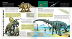Dinozaurii