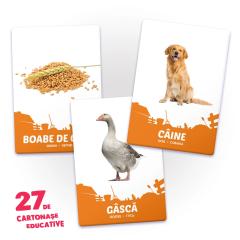 27 de cartonase educative - Animale domestice si hrana lor