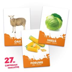 27 de cartonase educative - Animale domestice si hrana lor