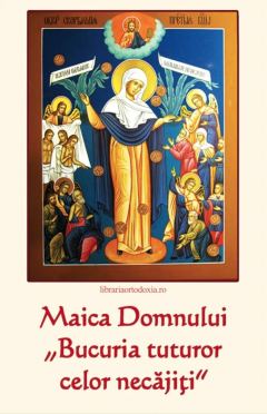 Maica Domnului „Bucuria tuturor celor necajiti”