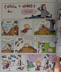 Colectia esentiala Calvin si Hobbes