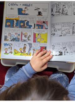 Colectia esentiala Calvin si Hobbes