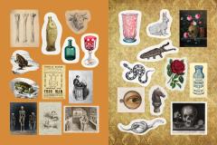 Apothecaries, Remedies & Rarities Sticker, Color & Activity Book