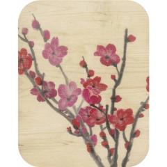 Felicitare din lemn - Wooden - Pink Blossom