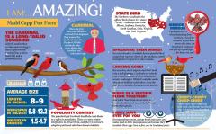 Puzzle - Eu sunt Pasarea Cardinal, 1000 piese