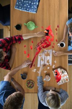Puzzle - Eu sunt Pasarea Cardinal, 300 piese