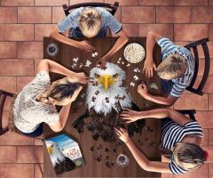 Puzzle - Eu sunt Vultur, 300 piese