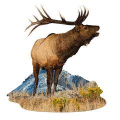 Puzzle - Eu sunt Elan, 1000 piese