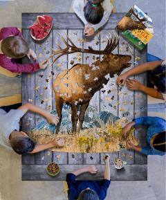 Puzzle - Eu sunt Elan, 1000 piese