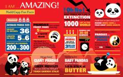 Puzzle - Eu sunt Panda, 300 piese