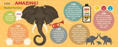 Puzzle pentru copii - Eu sunt Elefant, 100 piese