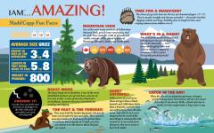 Puzzle - Eu sunt Grizzly, 1000 piese