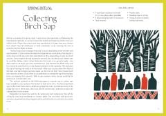 Seasonal Folktales