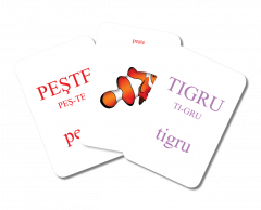 Carti de joc educative - Invat sa citesc