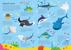 Usborne Book and Jigsaw -  Animals of the World