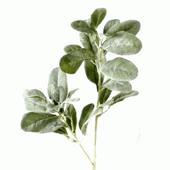 Decoratiune de interior - Tak Green