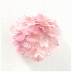 Glob decorativ - Rose Feather