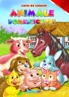 Animale domestice pui. Carte de colorat